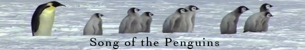 Click here